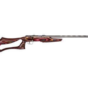 SAVAGE ARMS 22LR BOLT SS/EVOLUTION LAM   #