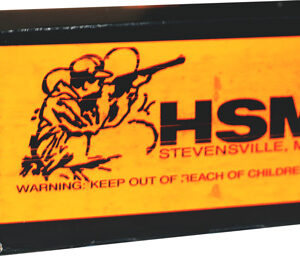 HSM SUBSONIC 45 ACP 230GR LRN