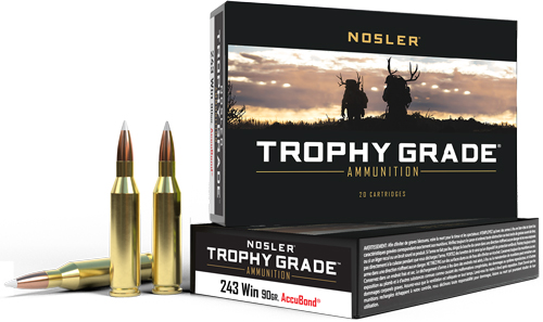 NOSLER Trophy Grade 243 90gr