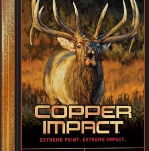 WINCHESTER DEER XP 300WM 180GR