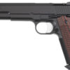 CZ DAN WESSON BRUIN OR 10MM - Image 2