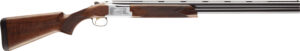 Chesapeake Gunslingers
