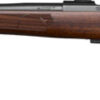 CZ 600 ST2 AMERICAN 6.5 CM - Image 2