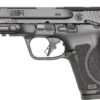 S&W M&P9 M2.0 COMP TN LOGO 4"