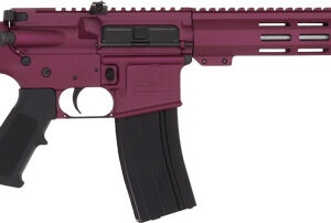 GLFA AR15 RIFLE .223 WYLDE