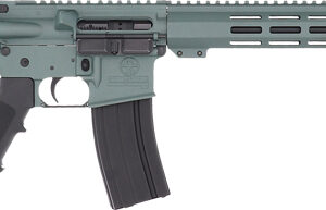 GLFA AR15 RIFLE .223 WYLDE