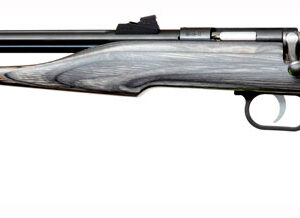 CHIPMUNK PISTOL HUNTER .22WMR