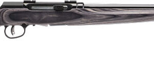 SAVAGE A17 .17HMR SPORTER 22"