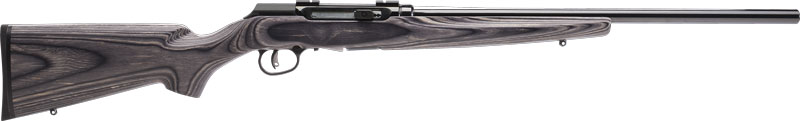 SAVAGE A17 .17hmr Sporter 22"
