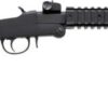 CHIAPPA LITTLE BADGER .22WMR