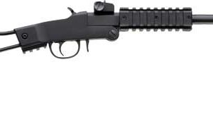 CHIAPPA LITTLE BADGER .22WMR