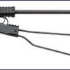 CHIAPPA LITTLE BADGER .22WMR - Image 2