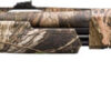 WINCHESTER SXP LONG BEARD - Image 2