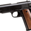 ROCK ISLAND GI STANDARD MS