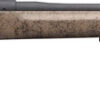 WINCHESTER MODEL 70 LONG RANGE