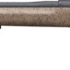 WINCHESTER MODEL 70 LONG RANGE - Image 2