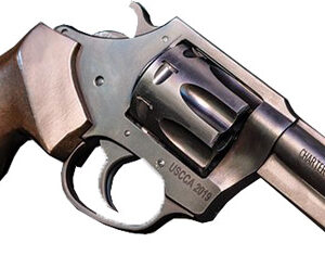 CHARTER ARMS THE PROFESSIONAL