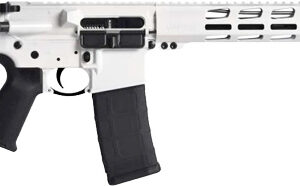 RUGER AR556 MPR .223 30-SHOT