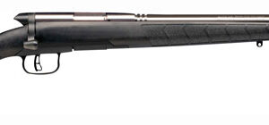 SAVAGE BMAG .17WSM 22" HB