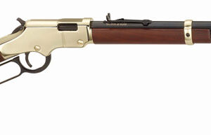 HENRY GOLDENBOY .17HMR