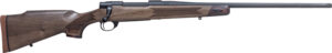 Chesapeake Gunslingers