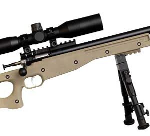 CRICKETT PRECISION RIFLE .22LR