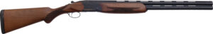 Chesapeake Gunslingers