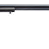 HERITAGE 22LR/22WMR 16" ADJ.