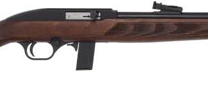ROSSI RS22 .22LR RIFLE SEMI