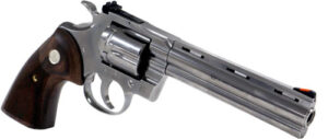 Chesapeake Gunslingers