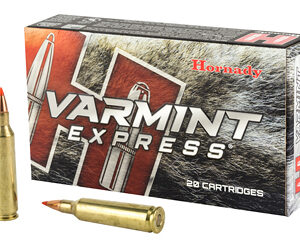 HRNDY 22-250  55GR VMAX 20/200