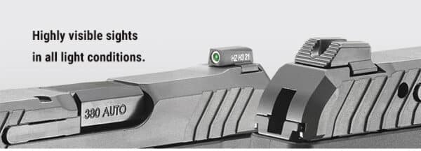 RUGER LCP MAX 380ACP BL/POLYMER 10+1 - Image 7
