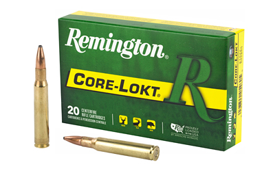 REM 3006 150gr Psp Cl 20/200