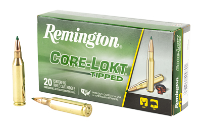 REM 243win 95gr Clok Tipped 20/200