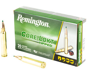 REM 300 WIN MAG 180GR CL TIP 20/200