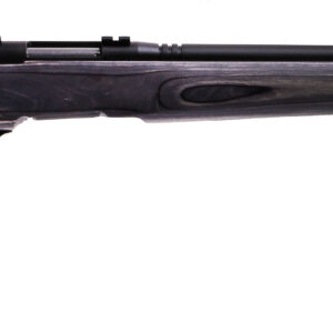 SAVAGE ARMS BMAG 17WSM BL/LAM HVBBL FLUTED