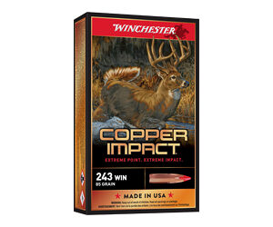 WIN DEER SEASON LF 243WIN 85GR 20/20