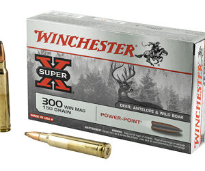 WIN SPRX PWR PNT 300WIN 150GR 20/200