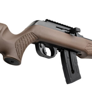 ROSSI RS22 22MAG BLK/BROWN 21" 10+1
