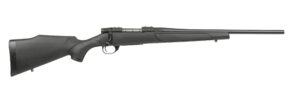 Chesapeake Gunslingers