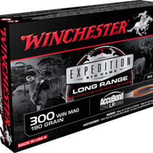 WINCHESTER SUPREME 300WM 190GR