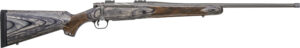 Chesapeake Gunslingers