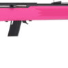 SAVAGE 64F .22LR 21" BBL