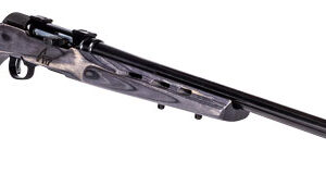 SAVAGE A17 .17WSM HVY BBL 22"