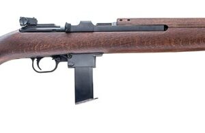 CHIAPPA M1-9 9MM LUGER