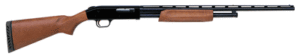 Chesapeake Gunslingers