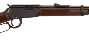 HENRY VARMINT EXPRESS .17HMR
