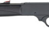 HENRY X MODEL LEVER .45/70 - Image 2