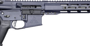 RISE WATCHMAN XR AR-15 RIFLE