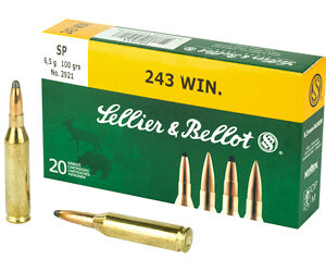 S&B 243WIN 100GR SP 20/500